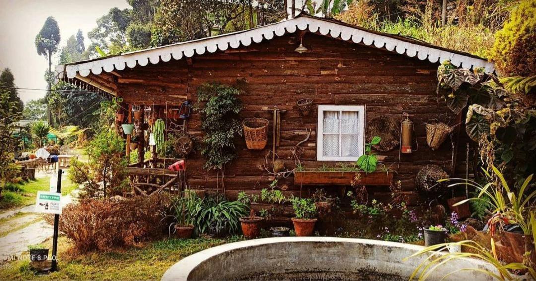 Suma Aavaas Farmstay Darjeeling  Ngoại thất bức ảnh