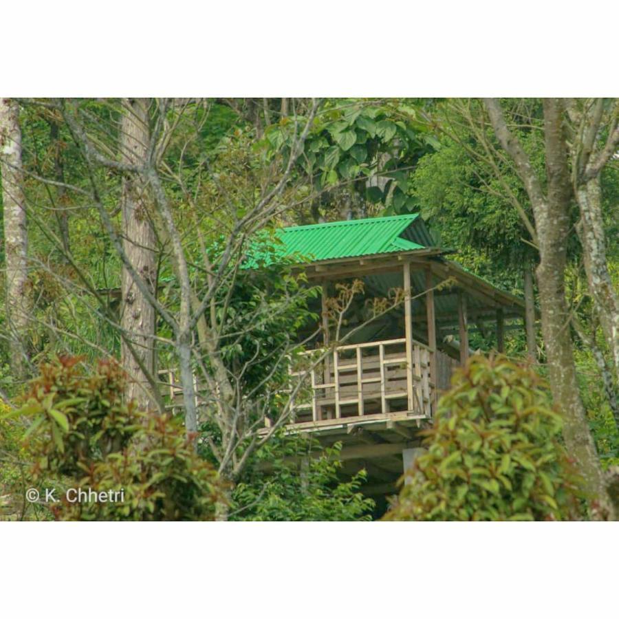 Suma Aavaas Farmstay Darjeeling  Ngoại thất bức ảnh