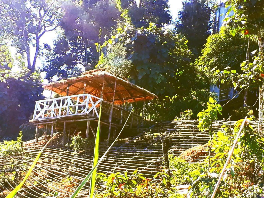 Suma Aavaas Farmstay Darjeeling  Ngoại thất bức ảnh